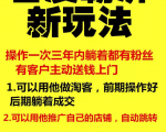 雨果百度霸屏新玩法，疯狂截流吸粉，操作简单，操作一次3年躺着收粉（共2套课程）-一号资源库