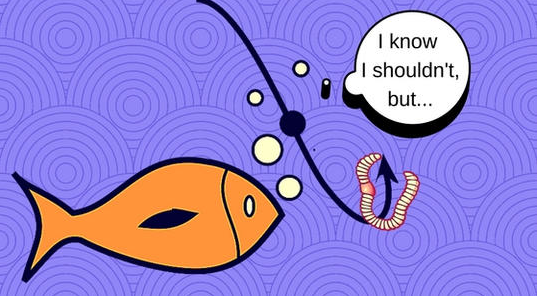 豆瓣引流卖粉项目，每天引流100多粉丝，直接变现800多块钱（价值1200元）-一号资源库