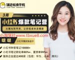 3周小红书爆款笔记训练营第二期：从曝光到带货，让你低成本卖爆款（完结）价值699元-一号资源库