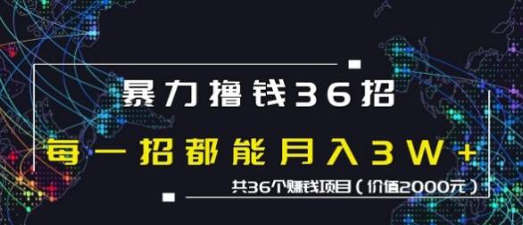 蜘蛛火暴力撸钱36招，共36个赚钱项目价值2000元-一号资源库