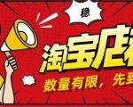 2020搏金汇淘宝店群无货源项目,蓝海操作月入50000+-一号资源库
