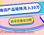 2020最新无货源店群项目，蓝海词产品矩阵月入30万，高手实操全过程（视频教程）-一号资源库