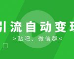 胜子《引流自动变现》特训营：微信群引流1.0和新手贴吧引流1.0【视频课程】-一号资源库