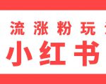雨果：不用写文章，不用拍照片，小红书另类引流涨粉玩法（视频课程）-一号资源库