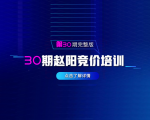赵阳sem竞价第30期培训教程课程（2020完结）价值3999元-一号资源库