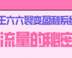 王六六裂变盈利系统课程01流量的秘密(核心诱饵+信任模型+裂变模式)-一号资源库