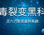 王六六裂变盈利系统课程第六课，病毒裂变黑科技-一号资源库