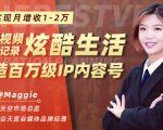 用短视频记录炫酷生活，打造百万级IP内容号，实现月增收1-2万-一号资源库