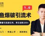 闲鱼爆品引流技术1.0，掌握引流新红利，单日进粉200+（价值1500元）-一号资源库