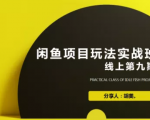 闲鱼项目玩法第9期蓝海营销项目，从0到1实操教您如何批量化去玩（完整版）-一号资源库