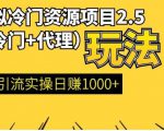 虚拟冷门资源项目（冷门及代理玩法） 精准引流实操日赚1000+(完结)-一号资源库