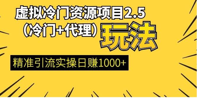 虚拟冷门资源项目（冷门及代理玩法） 精准引流实操日赚1000+(完结)-一号资源库