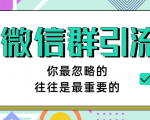 胜子老师《引流&自动变现》微信群引流1.0（三节完结版）-一号资源库