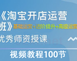 淘宝开店营运视频教程100节从基础运营+进阶提升+高级运营-一号资源库