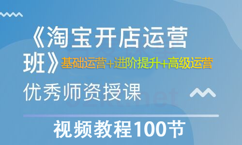 淘宝开店营运视频教程100节从基础运营+进阶提升+高级运营-一号资源库