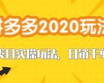 拼多多2020最新类目实操玩法，直通车定向玩法做爆款，轻松操作到日销千单-一号资源库