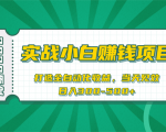 2020原创实战小白赚钱项目，打造全自动化收益，当天见效，日入300-500+-一号资源库