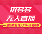 拼多多无人直播最新红利，日入1W+高价产品在低价池中爆发赚钱-一号资源库