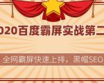 2020百度霸屏实战第二期，全网霸屏快速上排，黑帽SEO技术中最稳定的方法-一号资源库