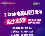 零基础学习抖音国际版TikTok海外短视频新手实战训练营【视频课】-一号资源库