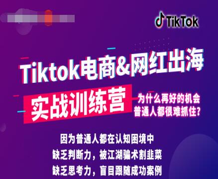 零基础学习抖音国际版TikTok海外短视频新手实战训练营【视频课】-一号资源库