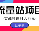 张子豪：实战打造月入万元的流量站的项目，项目不耗时间，可长期操作！-一号资源库