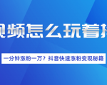 短视频怎么玩着挣钱？一分钟涨粉一万？抖音快速涨粉变现秘籍（完结）-一号资源库