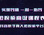 抖音快手实操一对一 短视频高级课-一号资源库