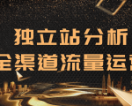 2020跨境电商未来出路，独立站精细化流量运营，手把手教你分析一个网站-一号资源库