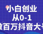 蛋解创业抖音短视频从0到1做百万大号，爆款内容策划，产品千万级别的曝光！-一号资源库