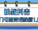狼叔抖音热门引流变现秘籍1.0，人人都可以捞金的项目，让你的视频曝光10W+-一号资源库