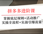 拼多多进阶课 掌握底层规则+活动推广+实操全流程+实战引爆流量-一号资源库
