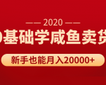 新手0基础学咸鱼卖货，也能轻松月入20000+【价值998元】-一号资源库