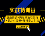 实战特训营:超级诱饵+同城精准引流法+暴力小红书+贴吧暴力引流（视频课程）-一号资源库