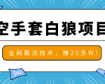 2020最新空手套白狼项目，全网批量截流技术，一个月实战成功赚20多W+-一号资源库