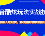 抖音酷炫玩法实战技巧，小白搬运月入万元技巧，蓝V变现模式带货轻松月入10万-一号资源库