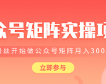 价值2580元公众号矩阵实操项目，从0粉丝开始做赚钱的公众号矩阵，月入3000+-一号资源库