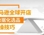 亚马逊全球开店数据化选品实操技巧,三分钟教你选出爆款-一号资源库
