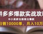 拼多多爆款实战攻略：中小卖家也能做出爆款，日销10000单月入10w+-一号资源库