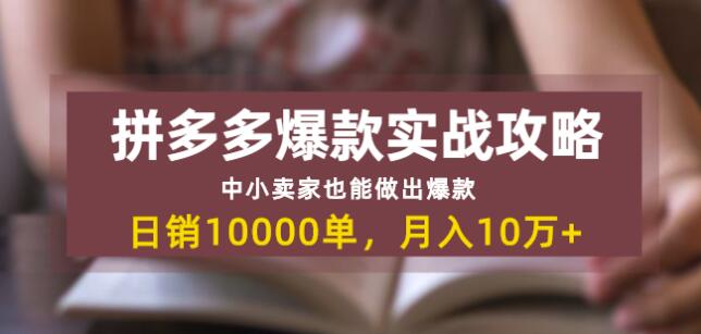 拼多多爆款实战攻略：中小卖家也能做出爆款，日销10000单月入10w+-一号资源库