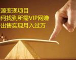 资源变现项目，如何找到所需VIP网赚资源并出售实现月入万-一号资源库