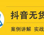 顽石电商抖音无货源实战教程，低投入高回报短视频变现-一号资源库