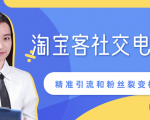 某站内部课程：淘宝客社交电商裂变，精准引流和粉丝裂变模式详解（共6节视频）-一号资源库