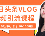 今日头条VLOG视频引流课程:每天30分钟,日引10-1000粉(完结)-一号资源库