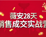 薇安28天销售成交实战营，5分钟成交3万，实现了月入近6位数的营收-一号资源库