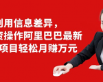 利用信息差异，零投资操作阿里巴巴最新管道项目轻松月赚10000+-一号资源库