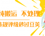 抖音纯搬运 不处理 小技巧，30秒发一个作品，避免违规评级秒过豆荚-一号资源库