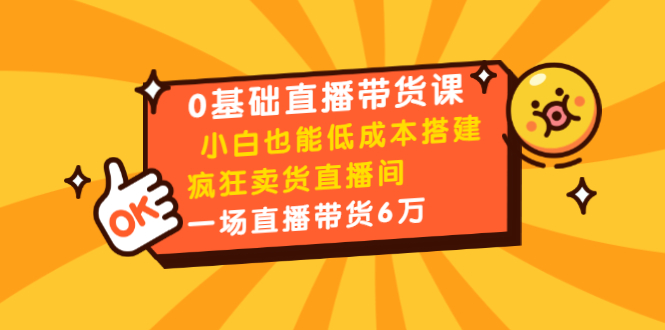0基础直播带货课：小白也能低成本搭建疯狂卖货直播间：1场直播带货6万-一号资源库