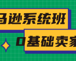 亚马逊系统班，专为0基础卖家量身打造，亚马逊运营流程与架构-一号资源库