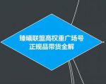臻曦联盟抖音高权重广场号无人直播正规品带货全解-一号资源库